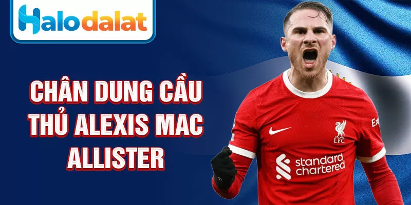 Chân dung cầu thủ alexis mac allister