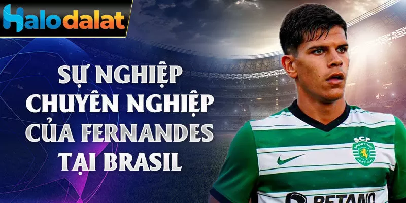 Sự nghiệp chuyên nghiệp của Fernandes tại Brasil