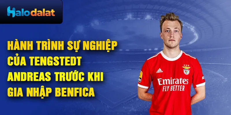 Hành trình sự nghiệp của tengstedt andreas trước khi gia nhập benfica