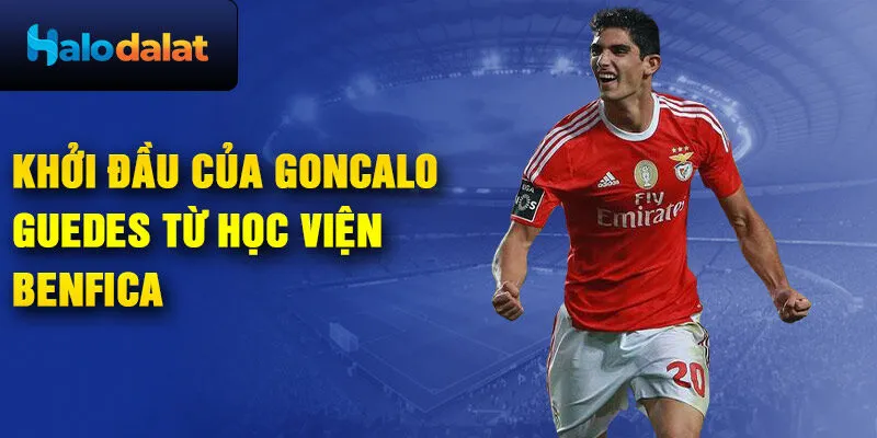 Khởi đầu của gonçalo guedes từ học viện benfica