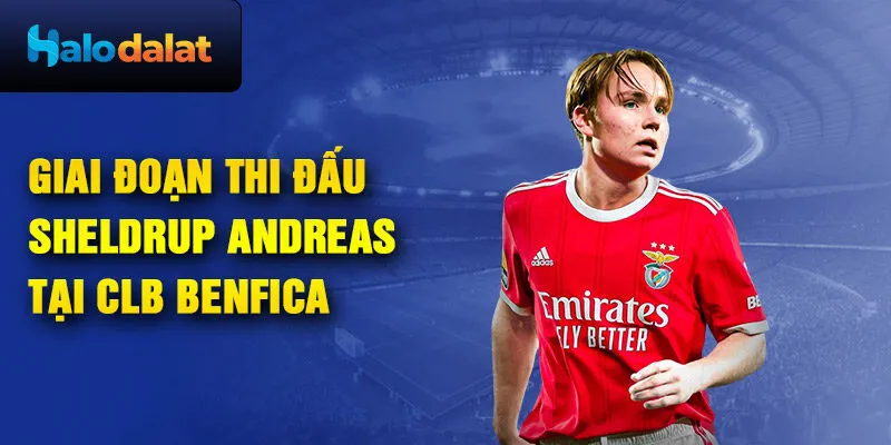 Giai đoạn thi đấu Sheldrup Andreas tại CLB Benfica