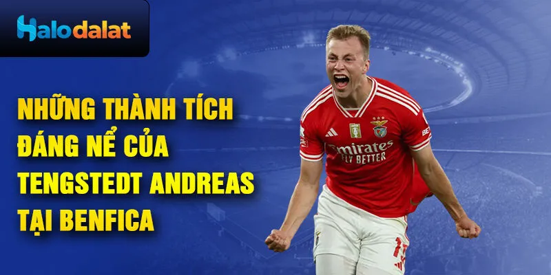 Những thành tích đáng nể của Tengstedt Andreas tại Benfica