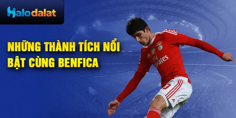 Những thành tích nổi bật cùng Benfica