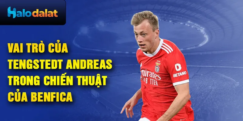 Vai trò của Tengstedt Andreas trong chiến thuật Của Benfica