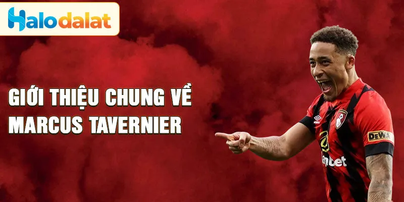 Giới thiệu chung về Marcus Tavernier