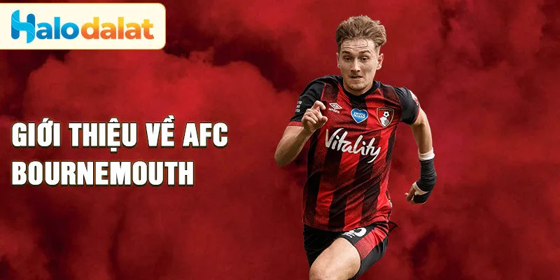 Giới thiệu về AFC Bournemouth