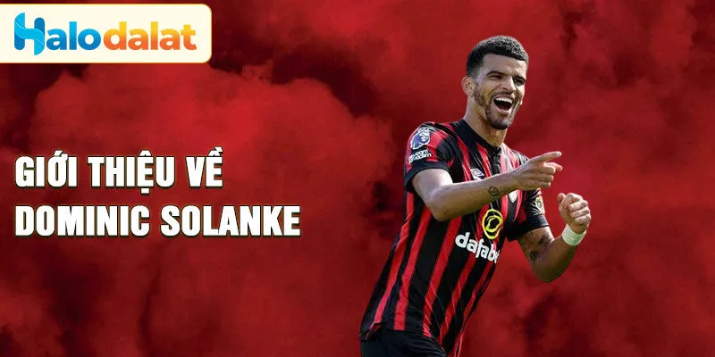 Giới thiệu về Dominic Solanke