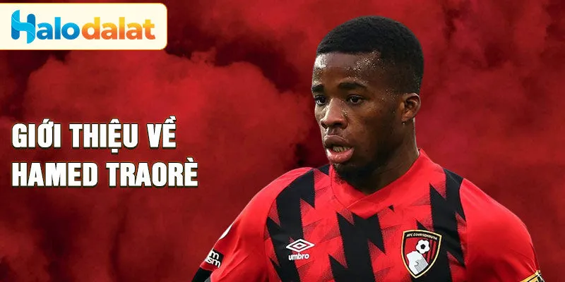 Giới thiệu về Hamed Traorè