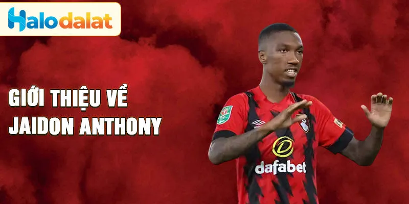 Giới thiệu về Jaidon Anthony