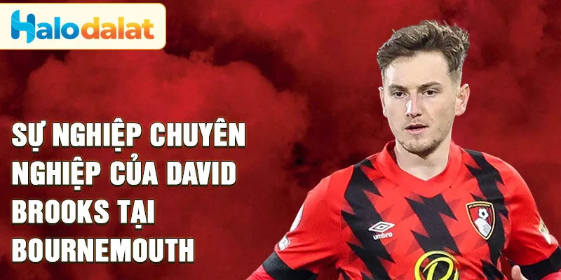 Sự nghiệp chuyên nghiệp của David Brooks tại Bournemouth